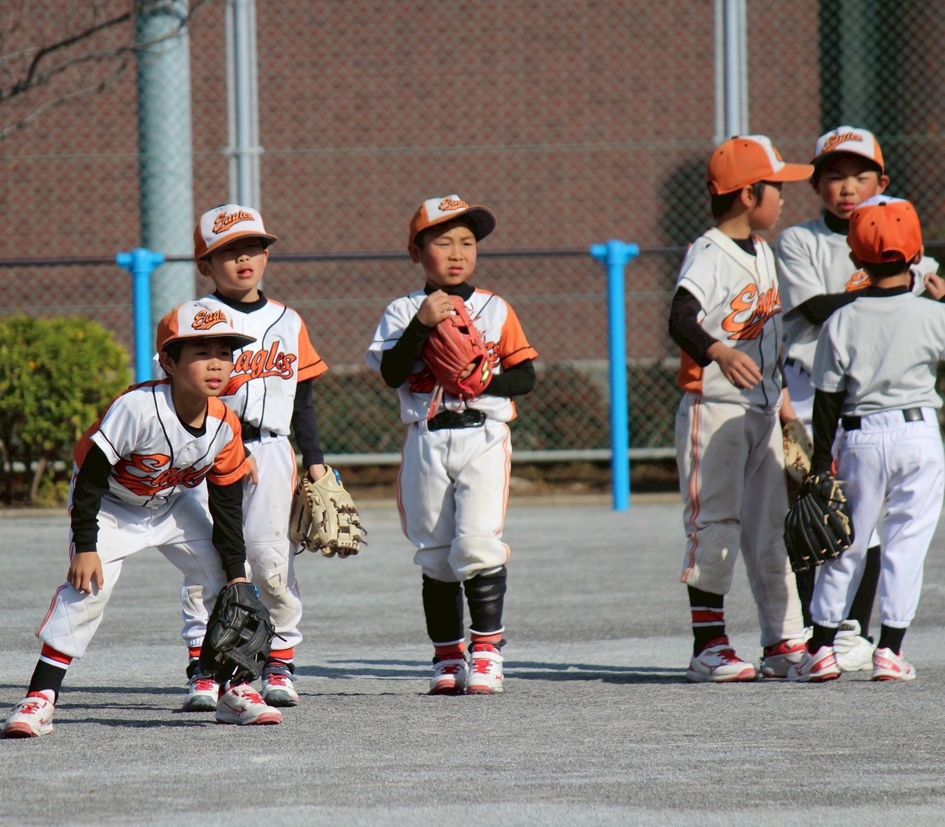 記事コンテンツ画像