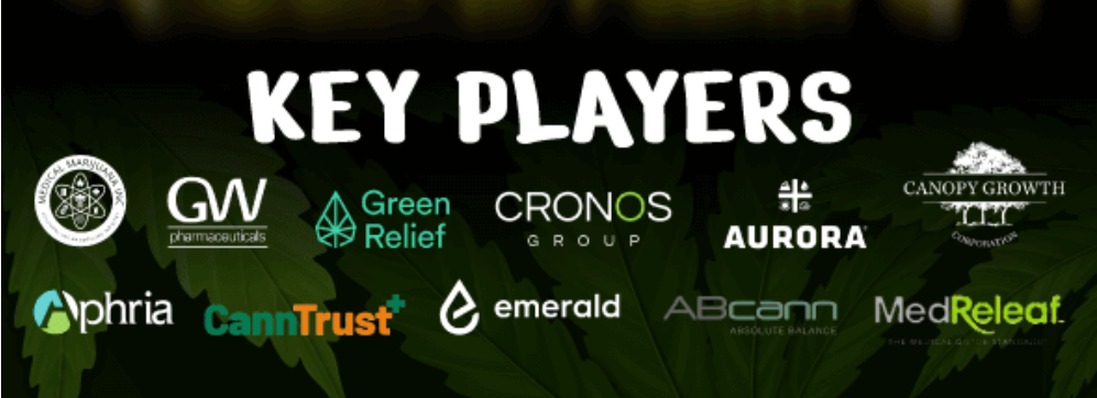 記事コンテンツ画像