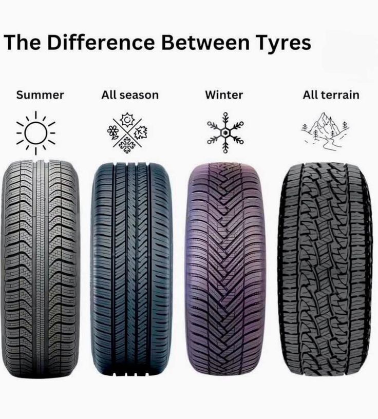 記事コンテンツ画像