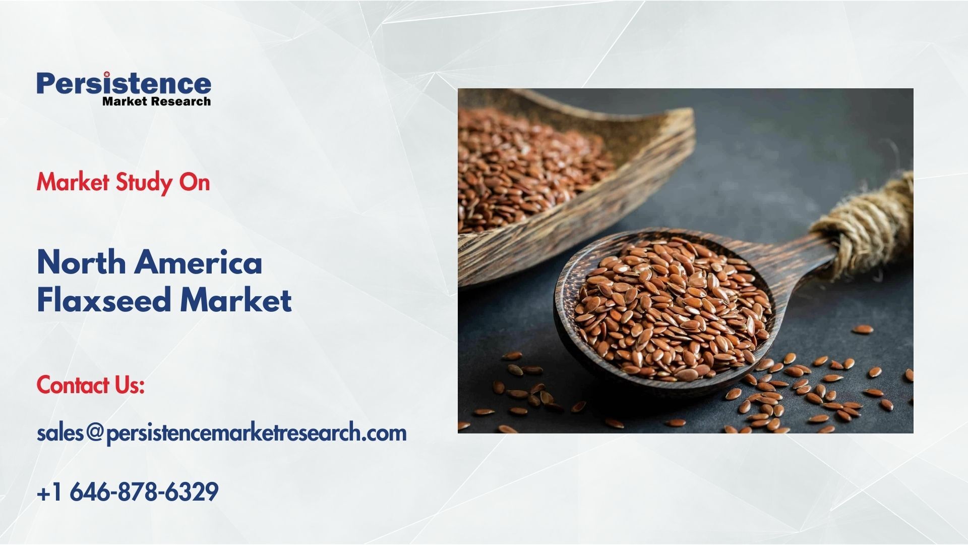 記事コンテンツ画像