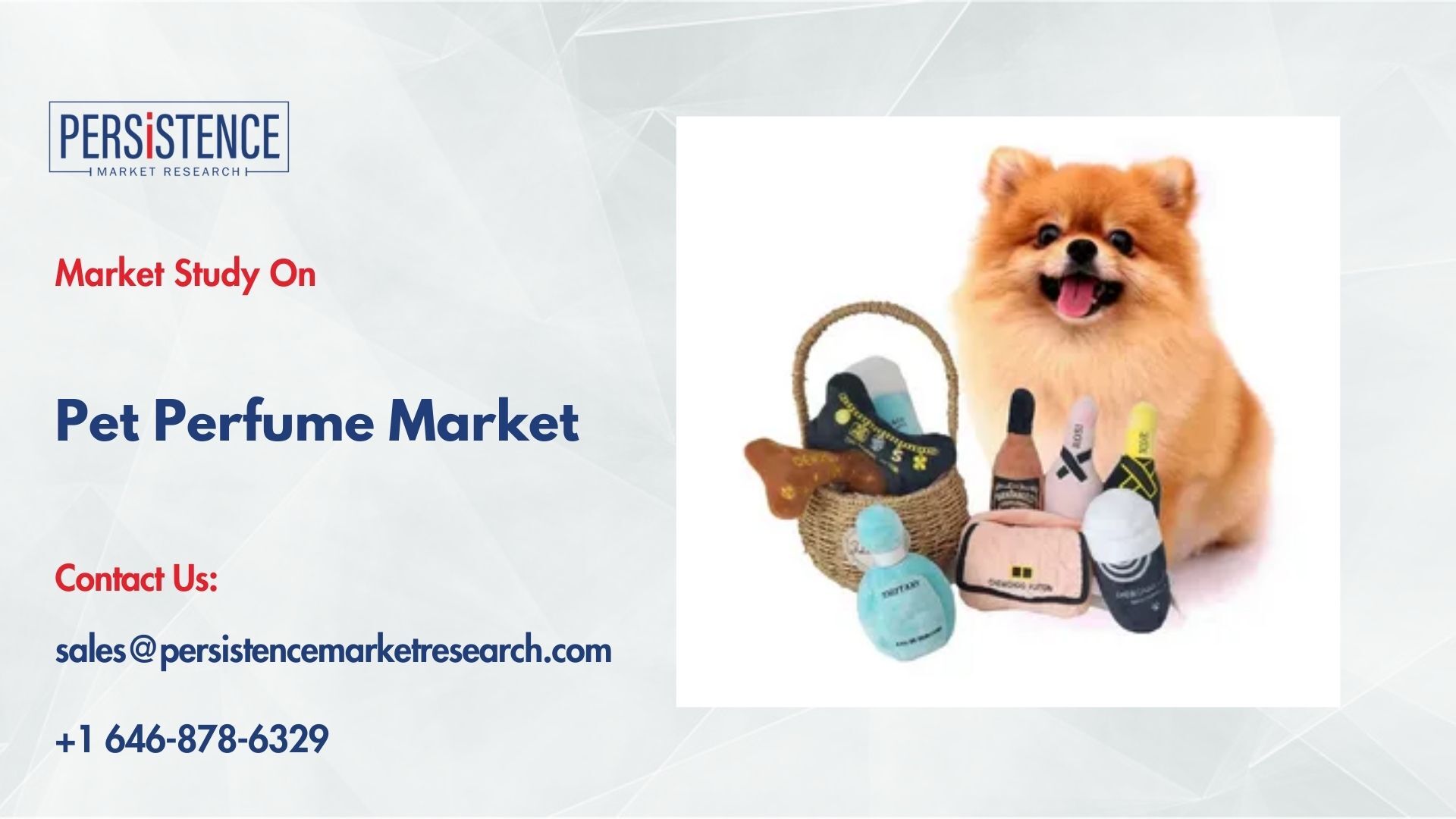 記事コンテンツ画像