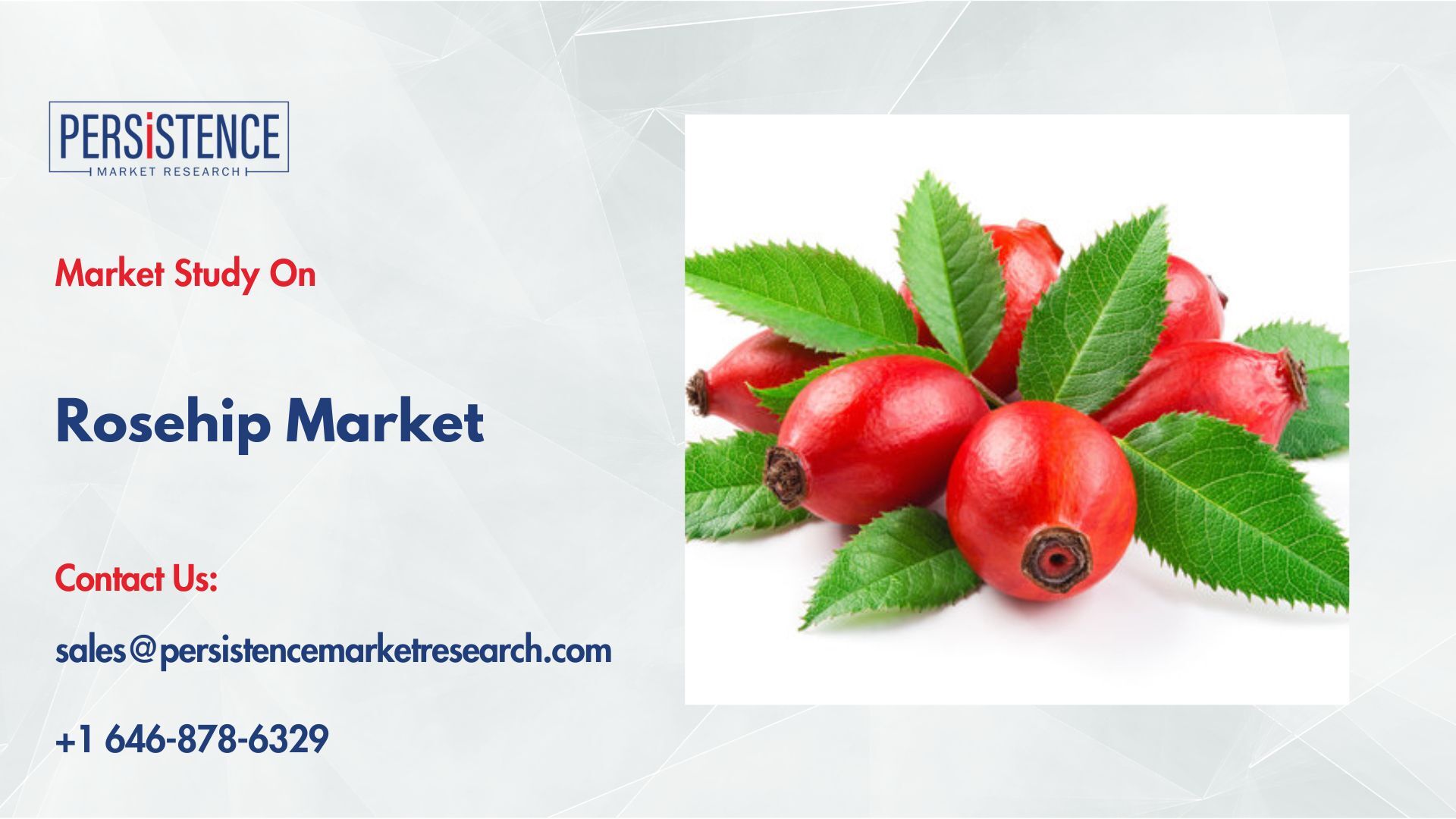 記事コンテンツ画像