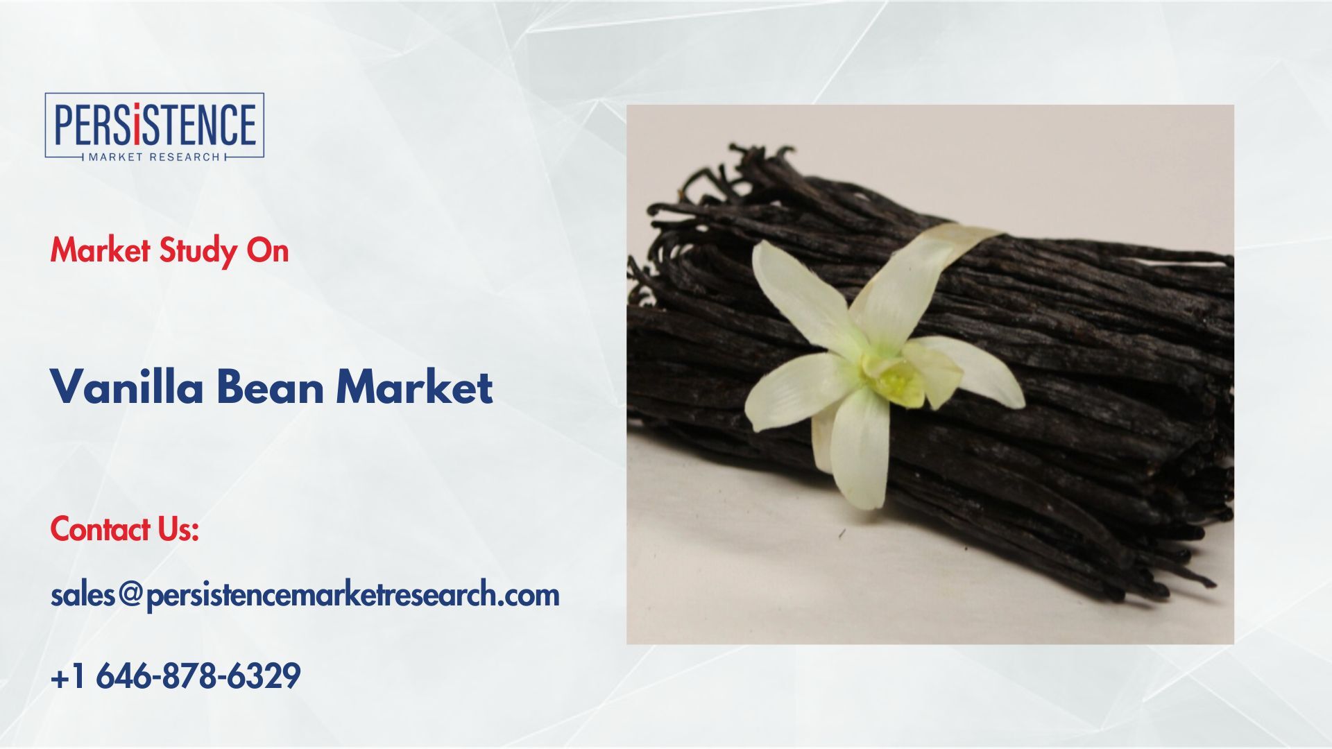 記事コンテンツ画像