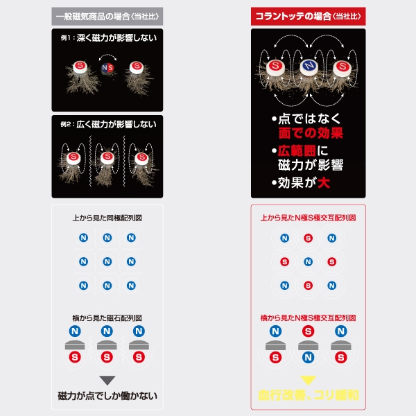 N極S極交互配列イメージ