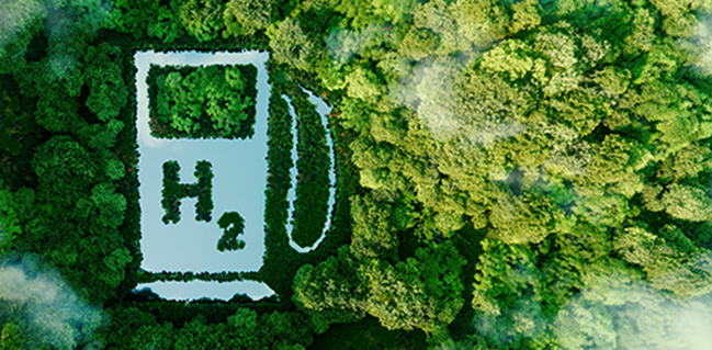 記事コンテンツ画像