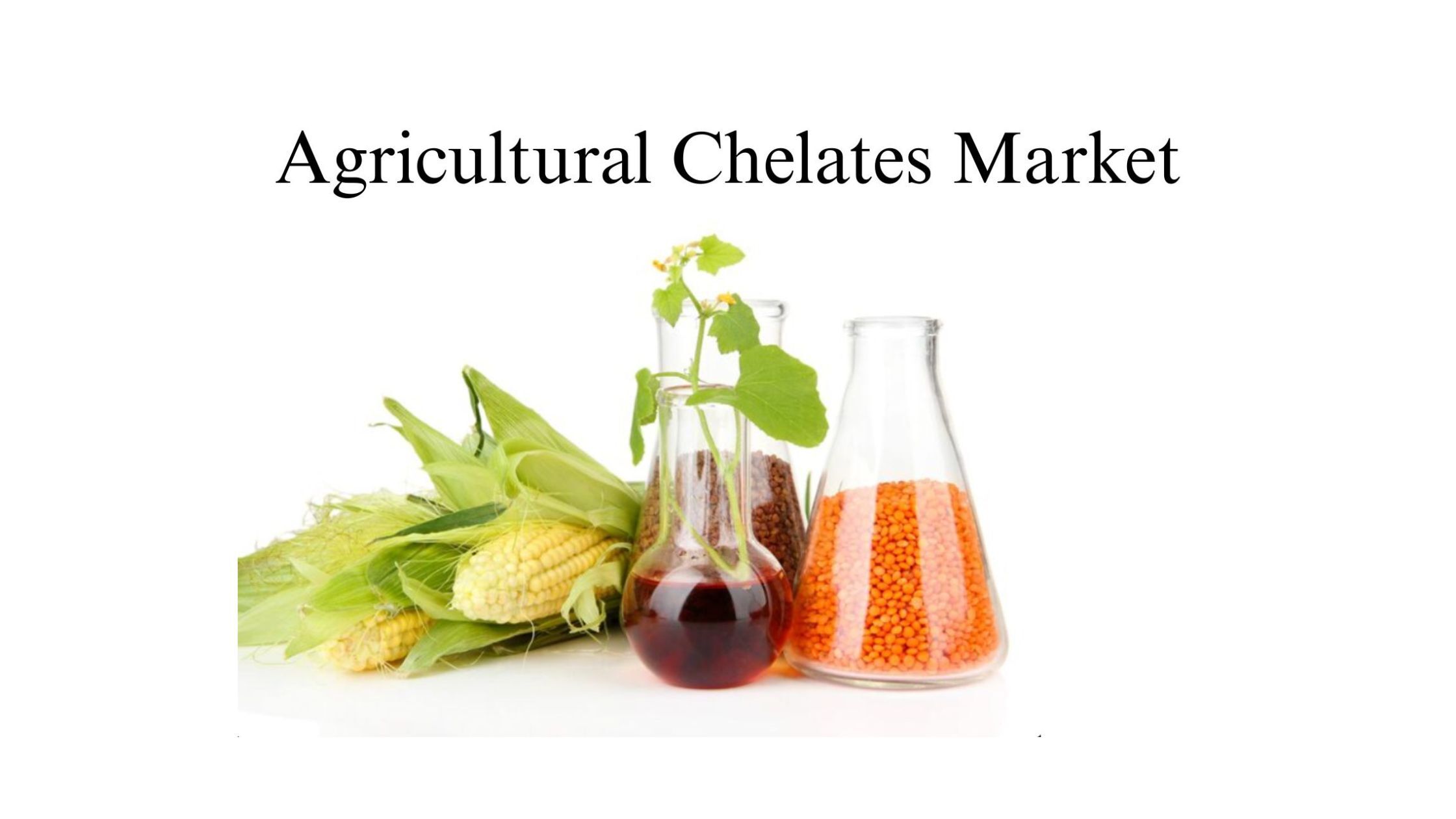 記事コンテンツ画像