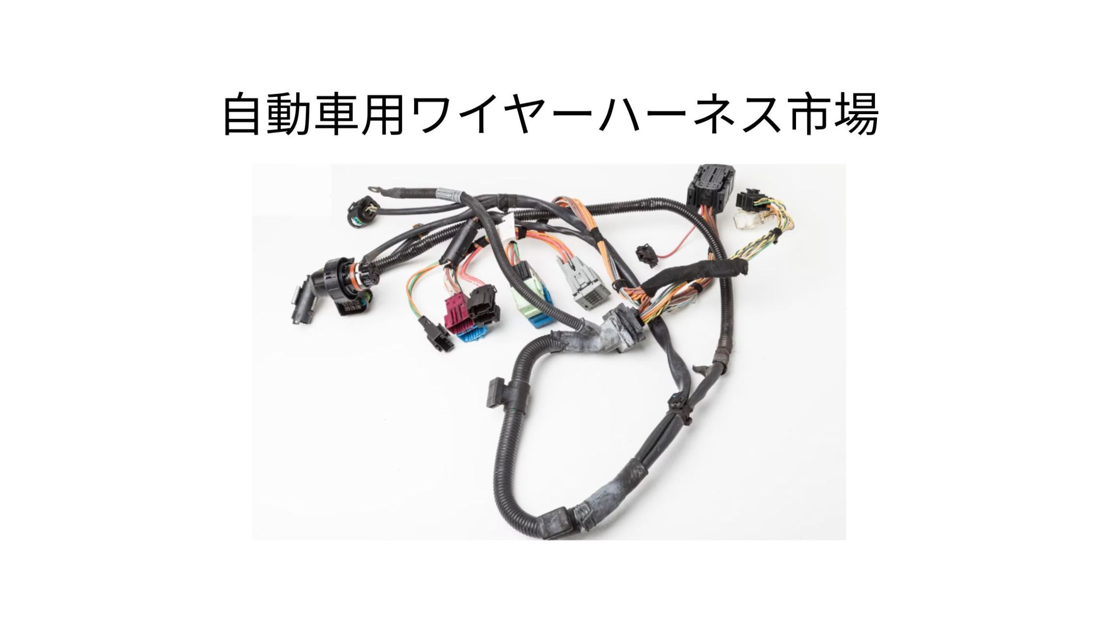 記事コンテンツ画像