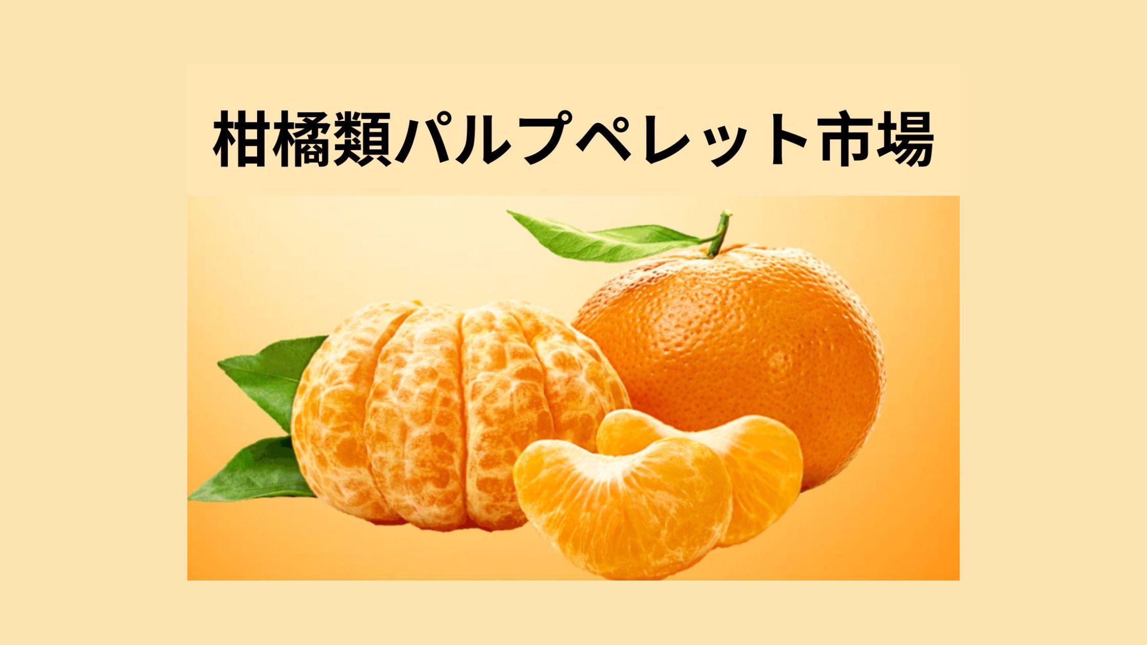 記事コンテンツ画像