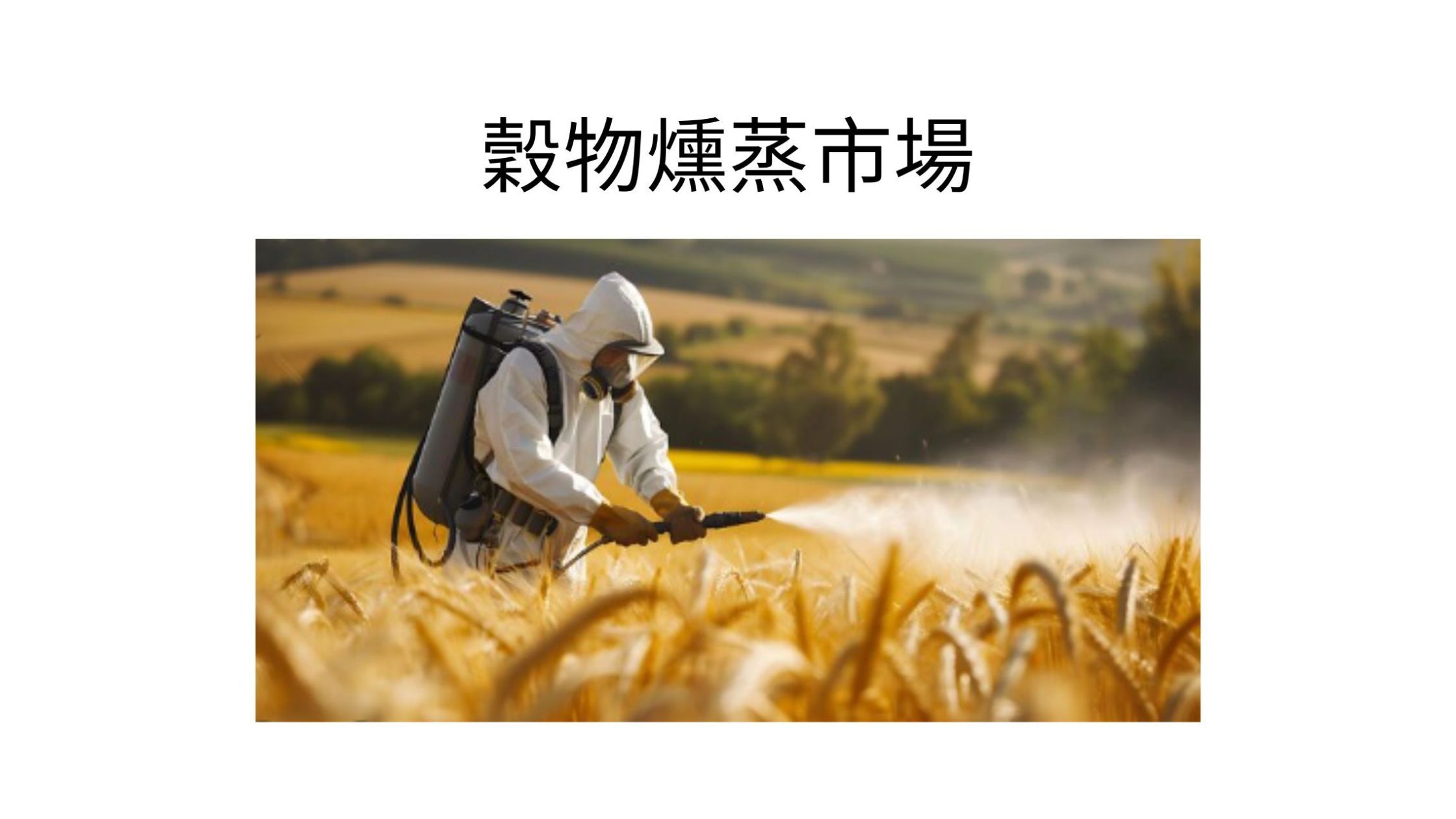記事コンテンツ画像