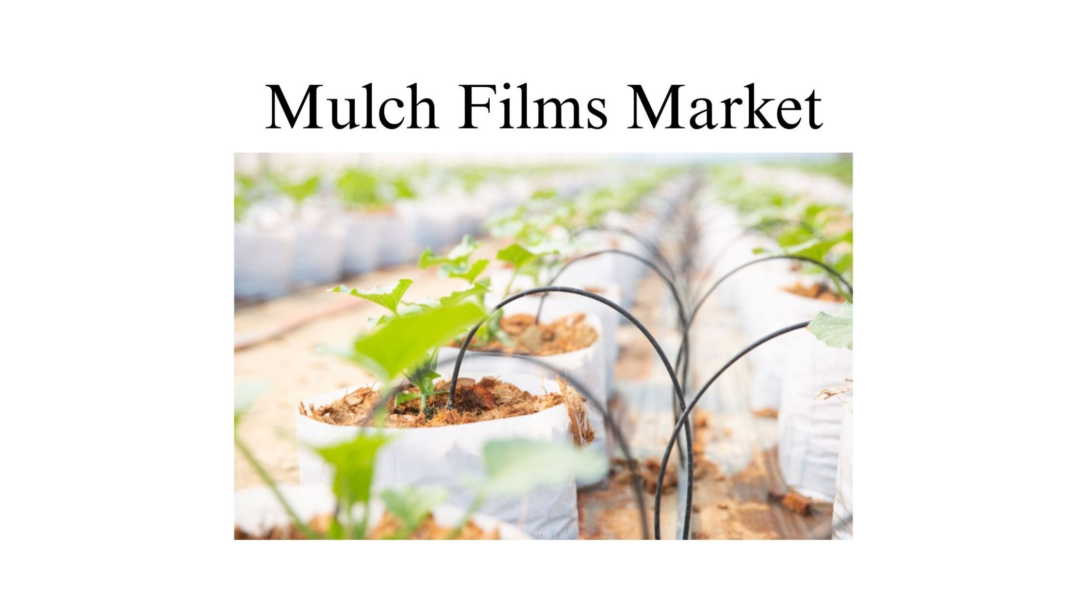 記事コンテンツ画像