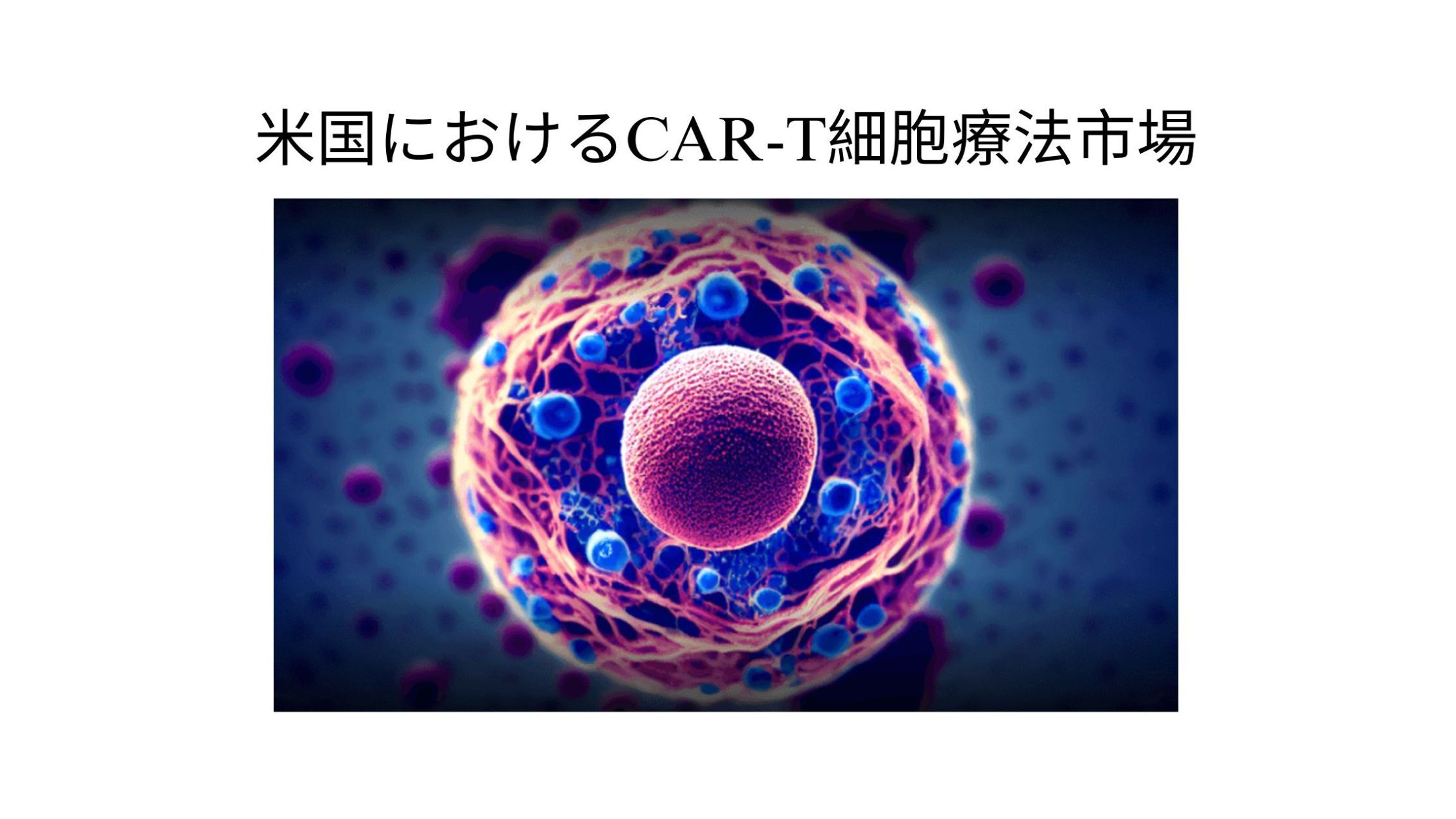 記事コンテンツ画像