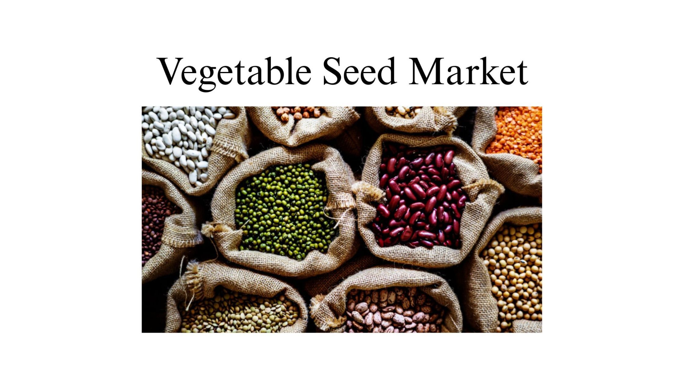 記事コンテンツ画像