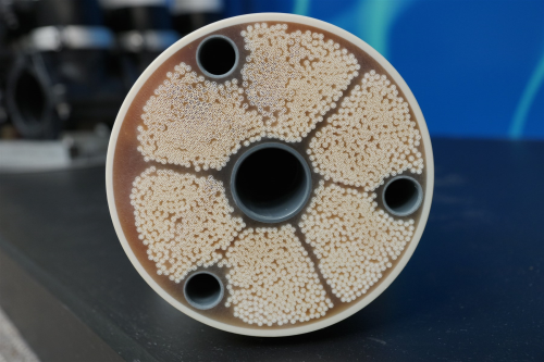 記事コンテンツ画像