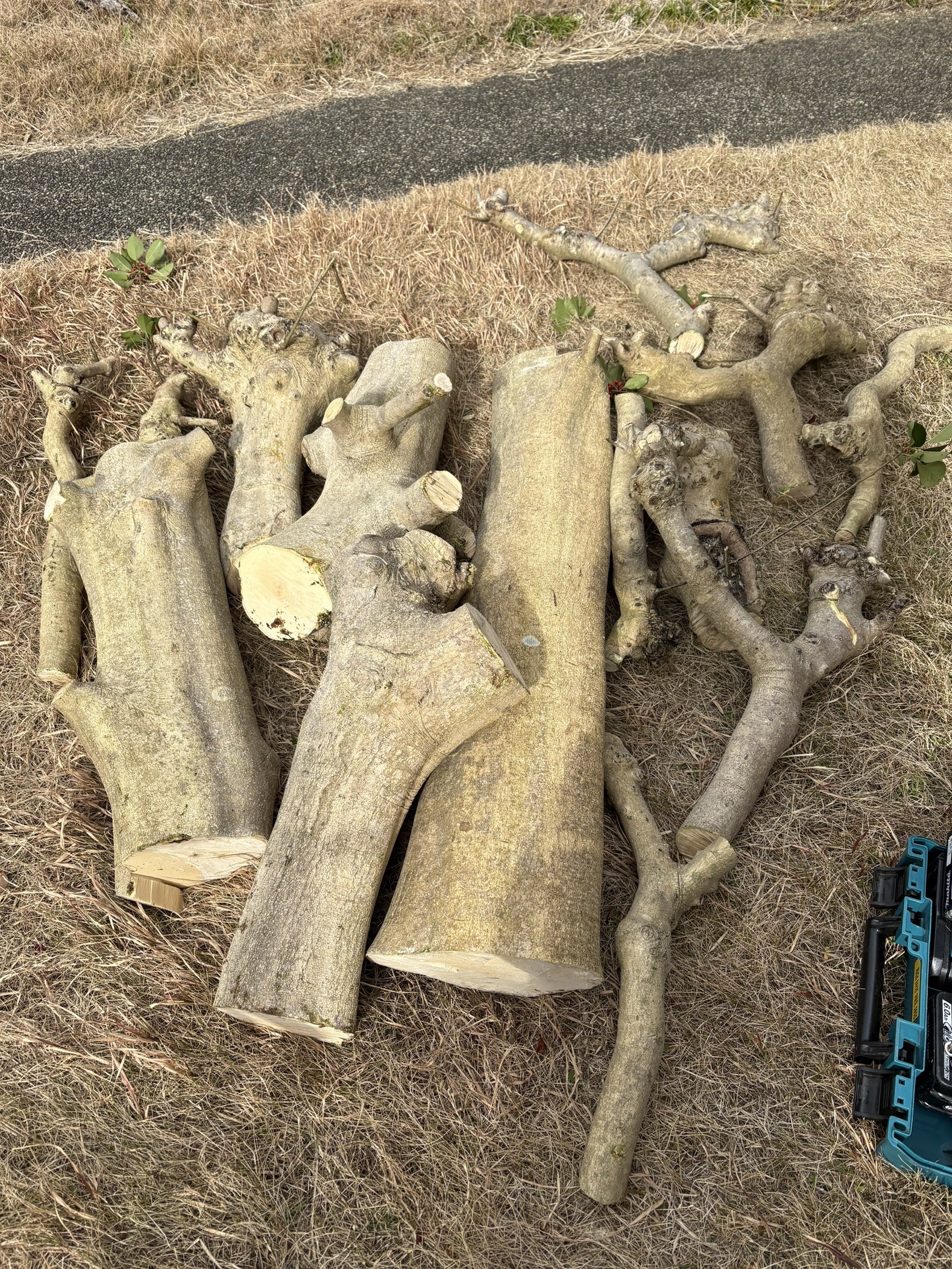 記事コンテンツ画像