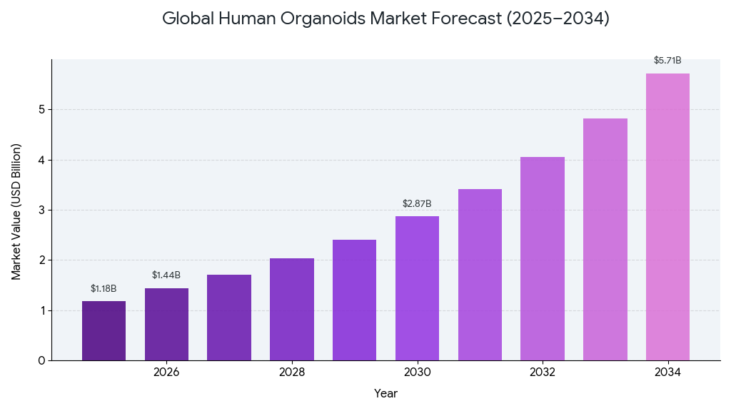 記事コンテンツ画像