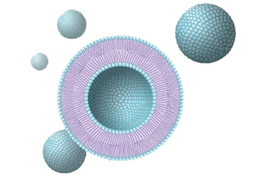 記事コンテンツ画像