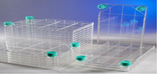 記事コンテンツ画像