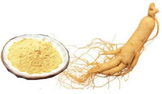 記事コンテンツ画像