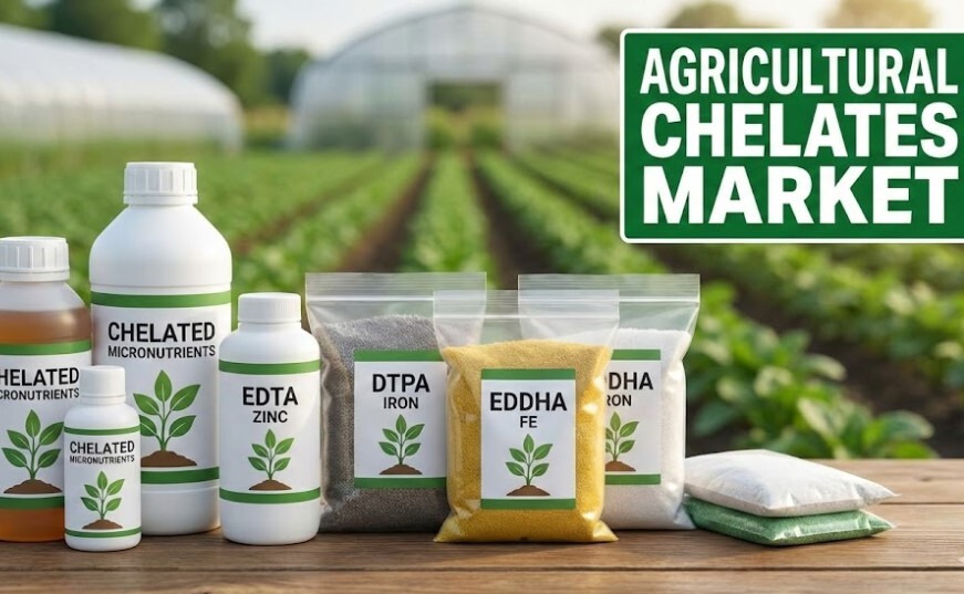 記事コンテンツ画像