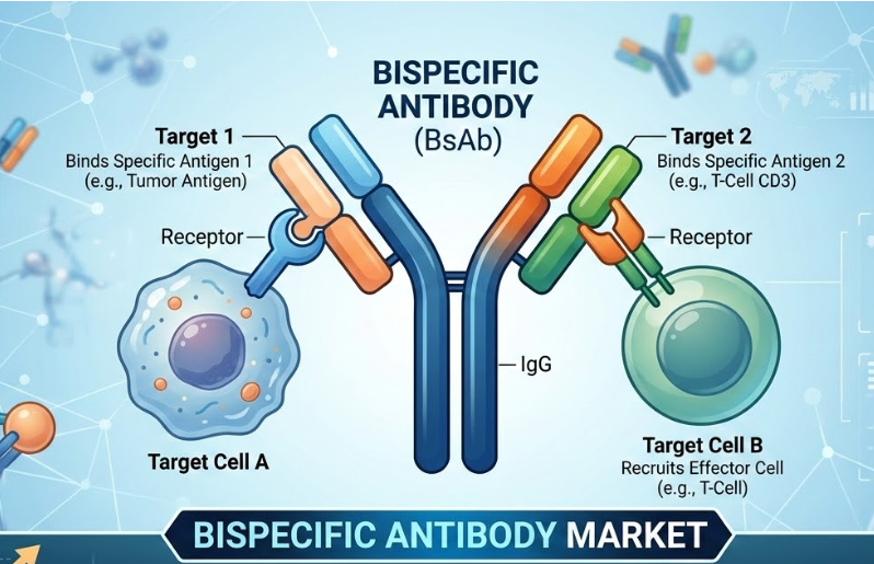 記事コンテンツ画像