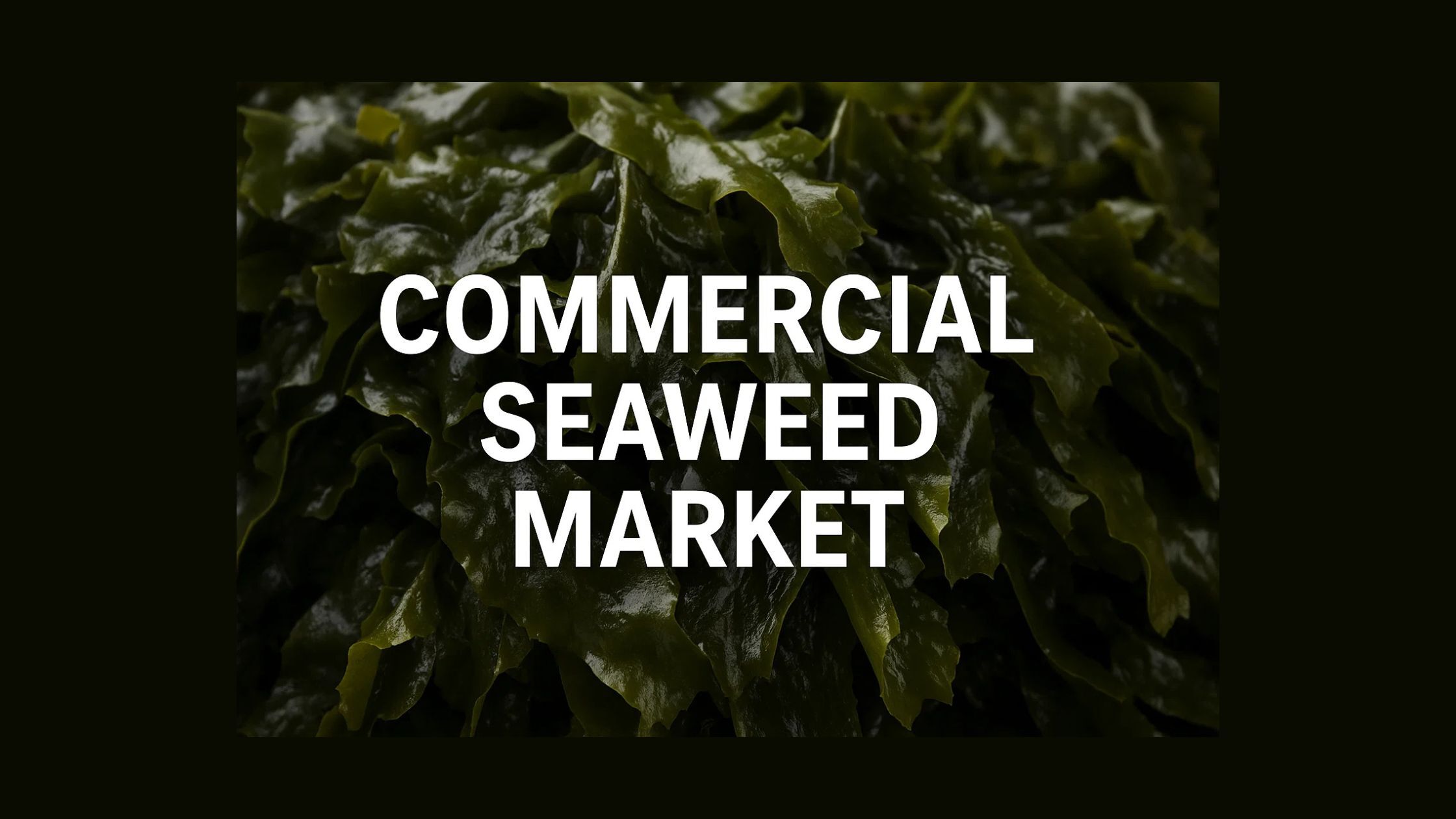 記事コンテンツ画像