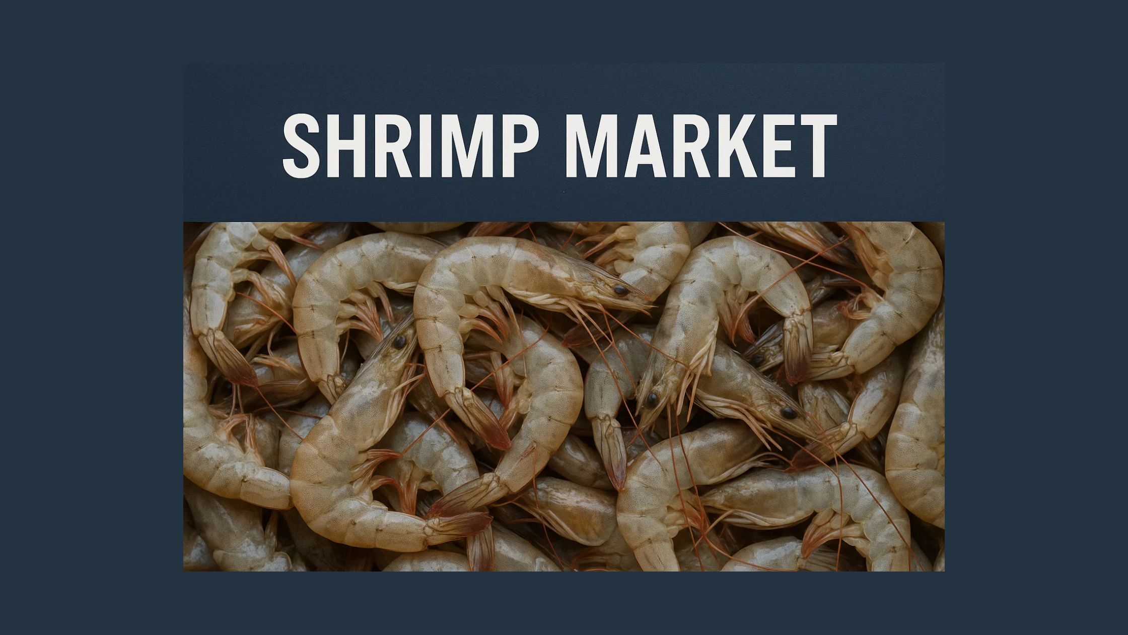 記事コンテンツ画像