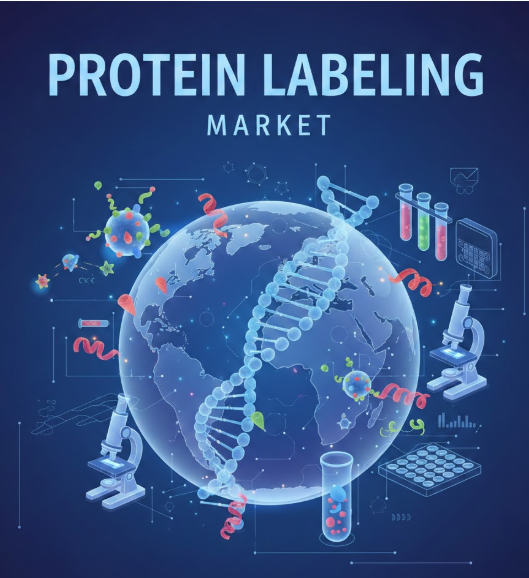 記事コンテンツ画像