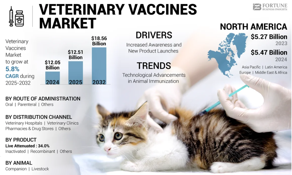 記事コンテンツ画像