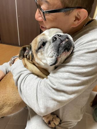 ぶるお記事画像