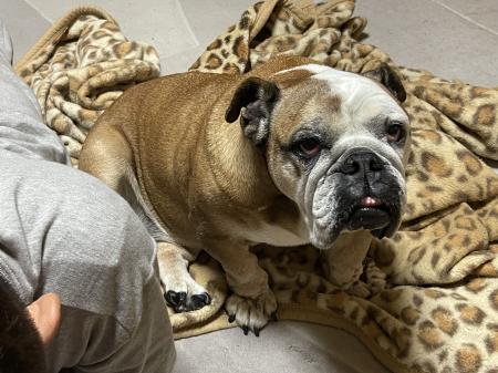 ぶるお記事画像