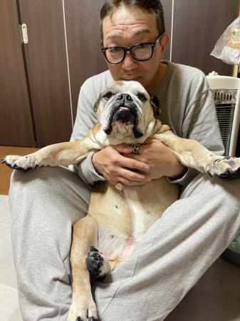 ぶるお記事画像