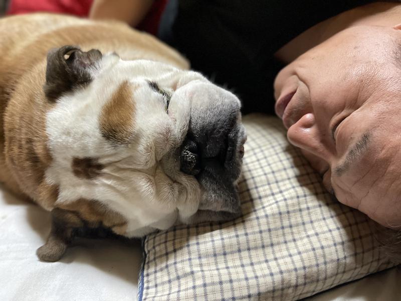 ぶるお記事画像