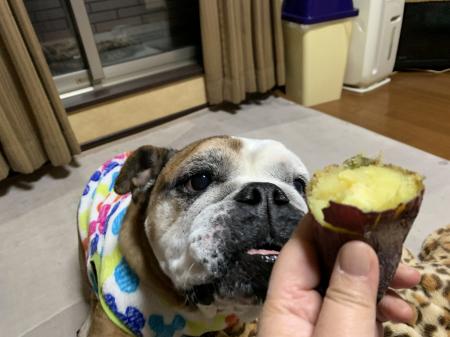 ぶるお記事画像