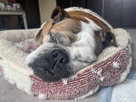 ぶるお記事画像