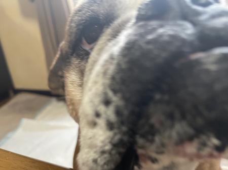 ぶるお記事画像