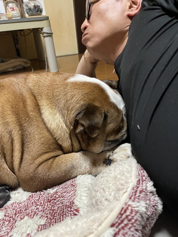 ぶるお記事画像