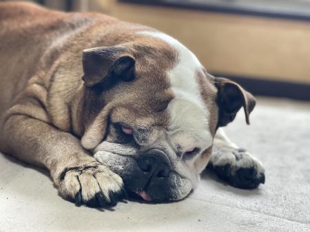 ぶるお記事画像