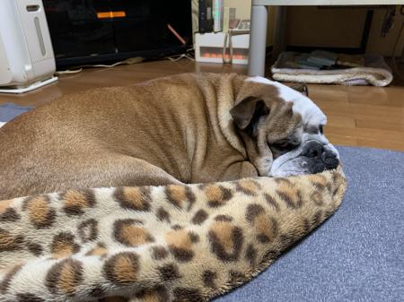 ぶるお記事画像