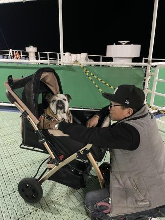 ぶるお記事画像