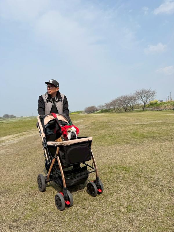 ぶるお記事画像