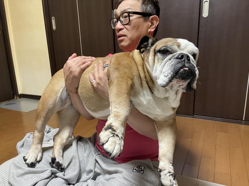 ぶるお記事画像