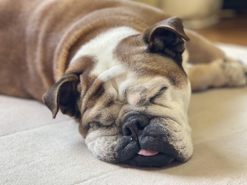 ぶるお記事画像