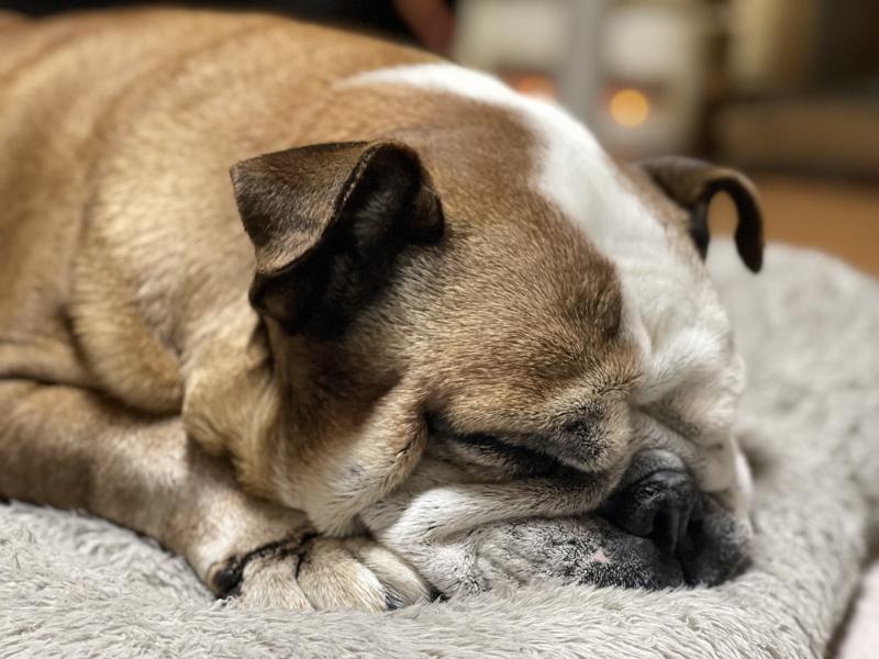 ぶるお記事画像