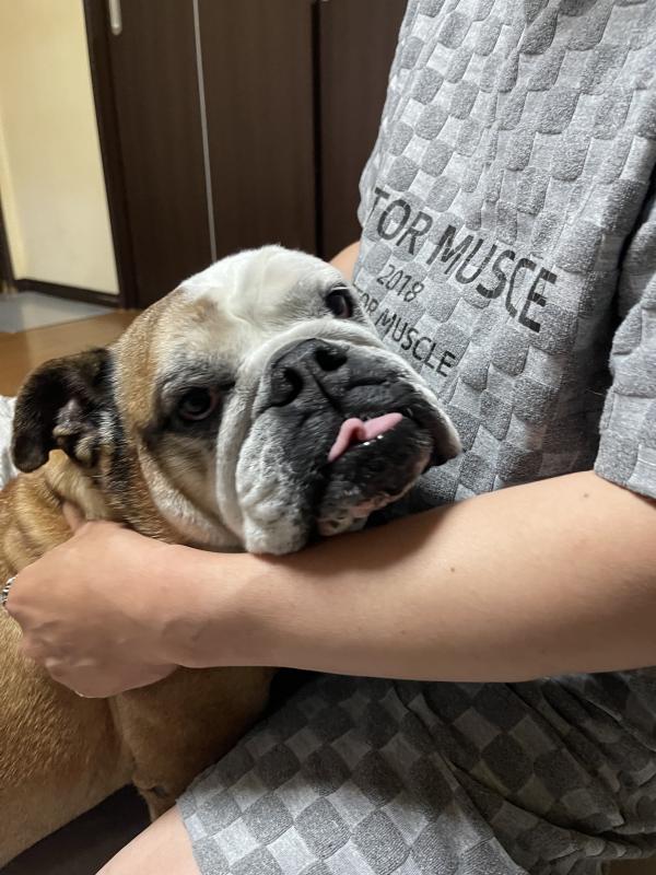 ぶるお記事画像