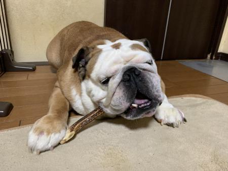 ぶるお記事画像