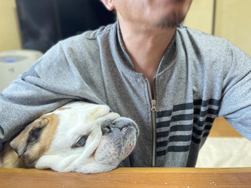 ぶるお記事画像