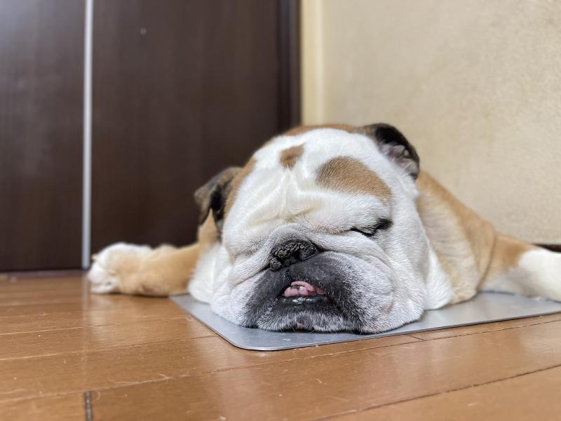ぶるお記事画像