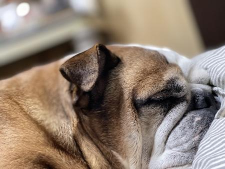 ぶるお記事画像