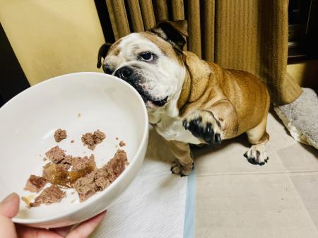 ぶるお記事画像