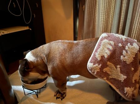 ぶるお記事画像